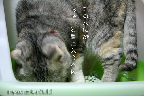 暗黙の了解・・・?_d0355333_14560044.jpg