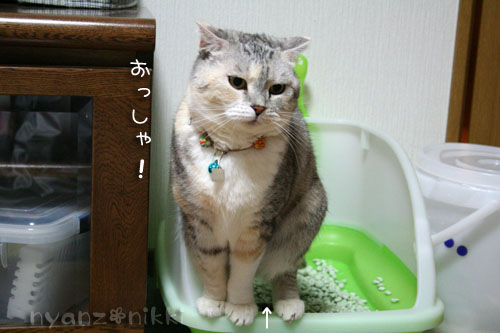 暗黙の了解・・・?_d0355333_14560052.jpg