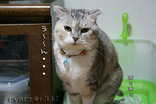 暗黙の了解・・・?_d0355333_14560074.jpg