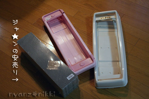 マタタビバトル勃発!?_d0355333_14560171.jpg