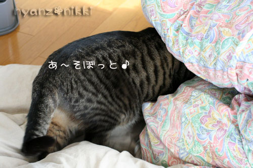 暖かい休日の朝は_d0355333_14560637.jpg