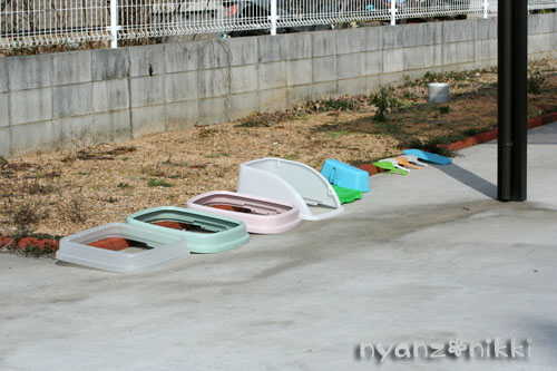 暖かい休日の朝は_d0355333_14560696.jpg