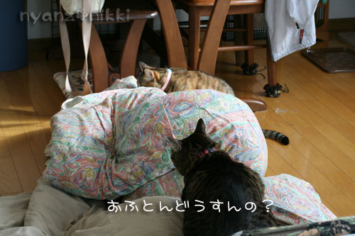 暖かい休日の朝は_d0355333_14560713.jpg