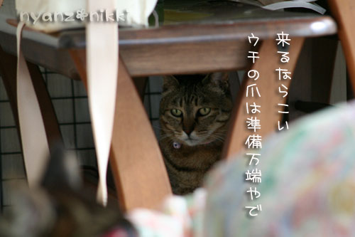 暖かい休日の朝は_d0355333_14560735.jpg