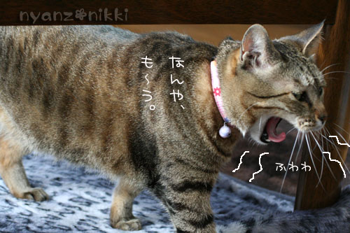 暖かい休日の朝は_d0355333_14560739.jpg