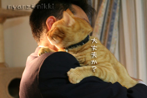 いやしい猫じゃなくて、癒し猫。_d0355333_14561222.jpg