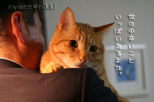 いやしい猫じゃなくて、癒し猫。_d0355333_14561296.jpg