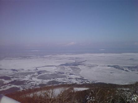流氷がやってきた_d0355333_14561310.jpg