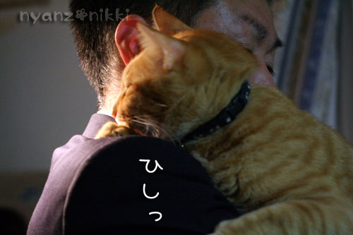いやしい猫じゃなくて、癒し猫。_d0355333_14561378.jpg