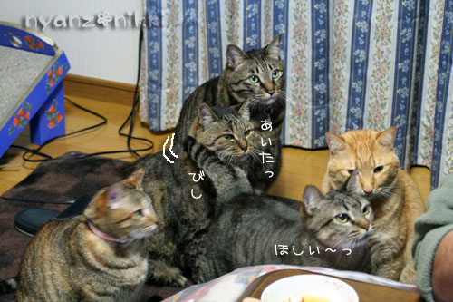 昔、流行った・・・_d0355333_14562202.jpg