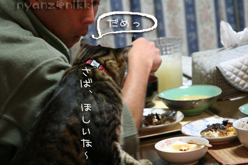 昔、流行った・・・_d0355333_14562430.jpg