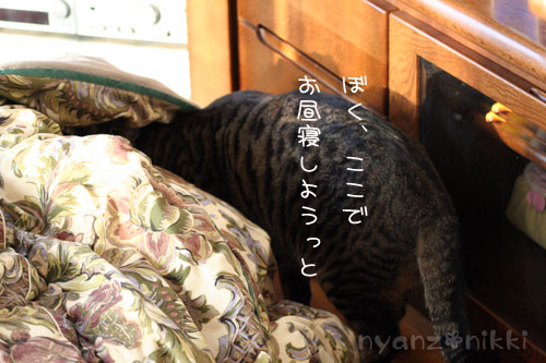まいどおなじみの・・・&「どろろ」レビュー_d0355333_14563718.jpg