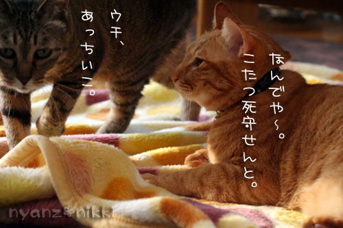 まいどおなじみの・・・&「どろろ」レビュー_d0355333_14563725.jpg