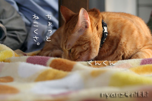 まいどおなじみの・・・&「どろろ」レビュー_d0355333_14563761.jpg