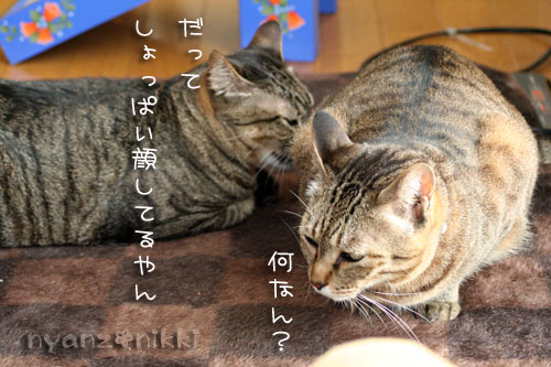 まいどおなじみの・・・&「どろろ」レビュー_d0355333_14563854.jpg