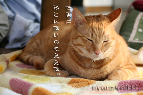 まいどおなじみの・・・&「どろろ」レビュー_d0355333_14563860.jpg