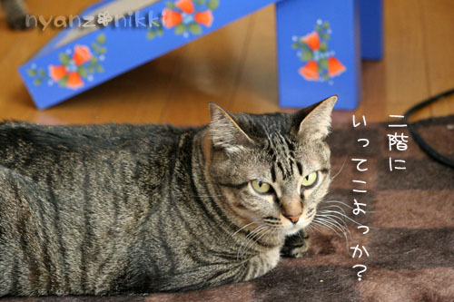 まいどおなじみの・・・&「どろろ」レビュー_d0355333_14563878.jpg