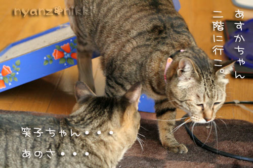まいどおなじみの・・・&「どろろ」レビュー_d0355333_14563886.jpg