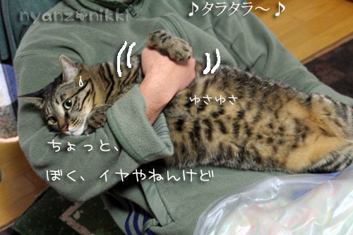 新しい楽器♪_d0355333_14563902.jpg