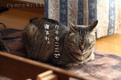 まいどおなじみの・・・&「どろろ」レビュー_d0355333_14563956.jpg