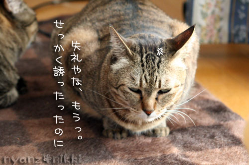 まいどおなじみの・・・&「どろろ」レビュー_d0355333_14563986.jpg