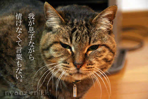 新しい楽器♪_d0355333_14564090.jpg