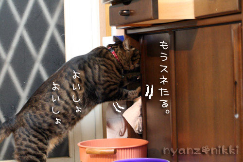 新しい楽器♪_d0355333_14564095.jpg
