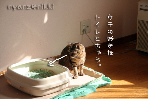 笑子ちゃんのこだわり_d0355333_14564983.jpg