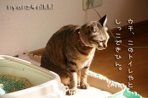 笑子ちゃんのこだわり_d0355333_14565022.jpg