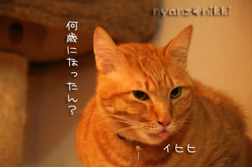 ひとつ、年をとりました_d0355333_14565272.jpg