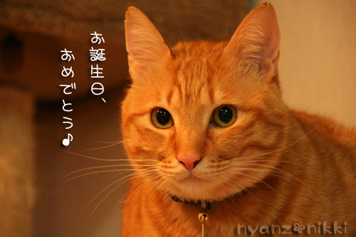 ひとつ、年をとりました_d0355333_14565297.jpg