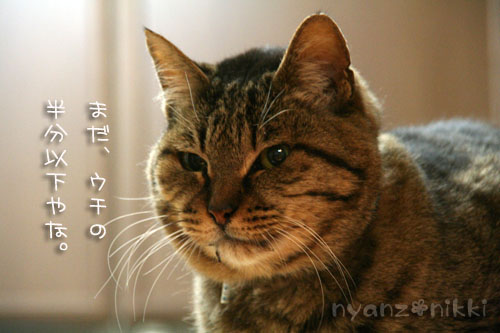 ひとつ、年をとりました_d0355333_14565307.jpg