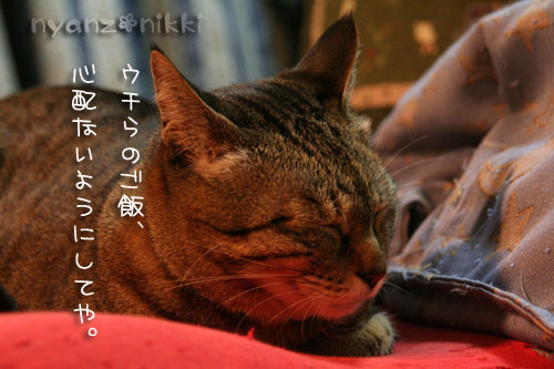 新しい挑戦・・・のつもり♪_d0355333_14565534.jpg