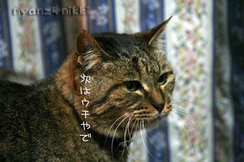 おさしみの時間_d0355333_14565909.jpg