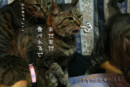 おさしみの時間_d0355333_14570024.jpg