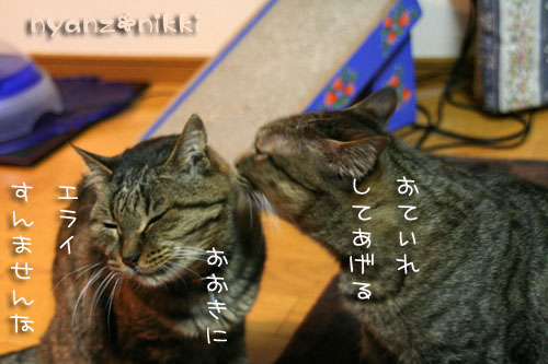 おさしみの時間_d0355333_14570083.jpg