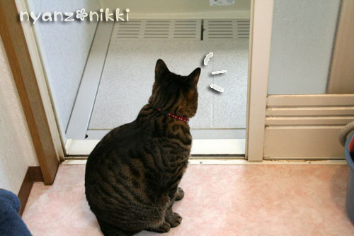 ぼくの日課_d0355333_14570879.jpg
