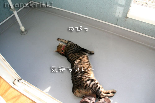 ベランダ脱走対策完了♪_d0355333_14581635.jpg