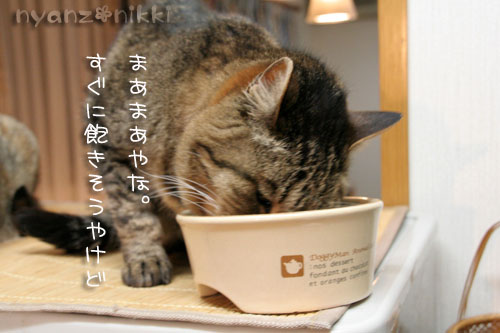 みおちゃんこんなに元気に!_d0355333_14595741.jpg