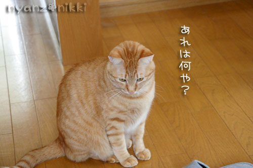 真剣な表情の先には_d0355333_15002961.jpg