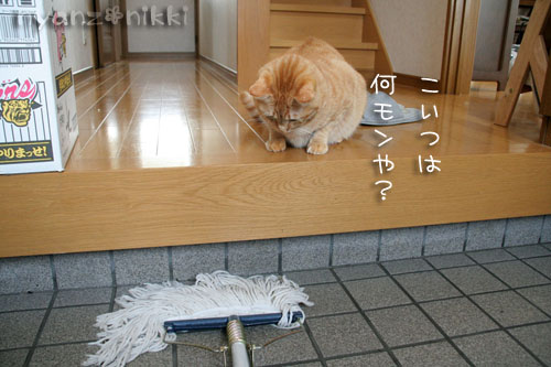 真剣な表情の先には_d0355333_15002977.jpg