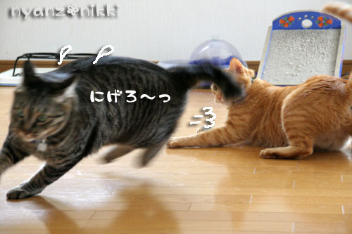 めくれないカレンダー_d0355333_15005149.jpg
