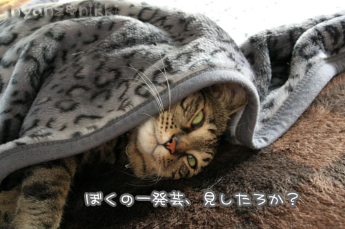 クラスに一人はいた男子_d0355333_15005168.jpg