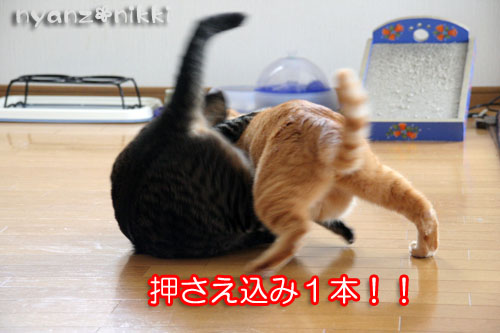 めくれないカレンダー_d0355333_15005171.jpg