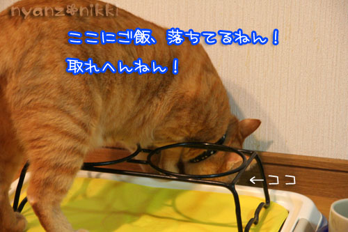 クラスに一人はいた男子_d0355333_15005219.jpg