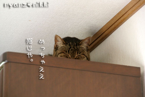 今日の病院は_d0355333_15005607.jpg