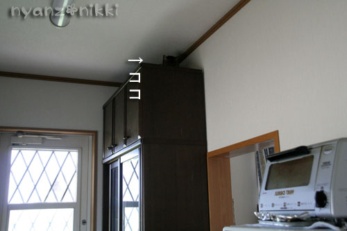 今日の病院は_d0355333_15005667.jpg