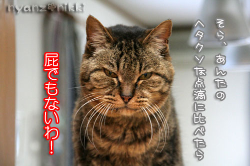 今日の病院は_d0355333_15005777.jpg