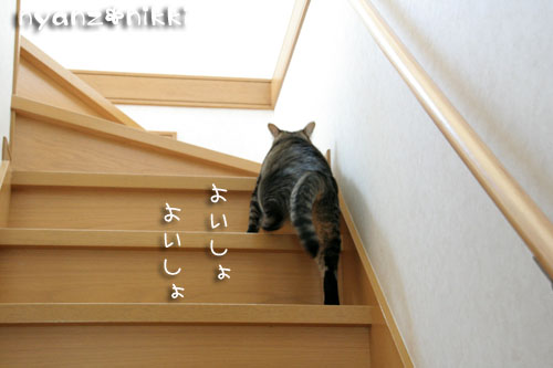 悩ましいワクチン接種_d0355333_15010236.jpg