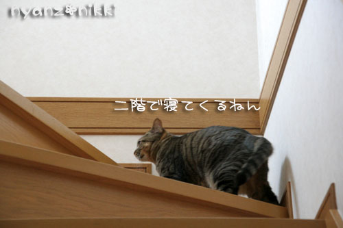 悩ましいワクチン接種_d0355333_15010296.jpg
